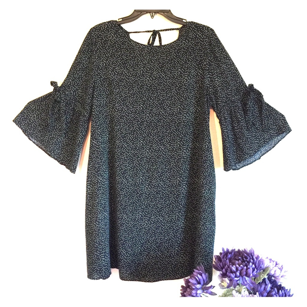Zara Basic Z1975 Denim Dress